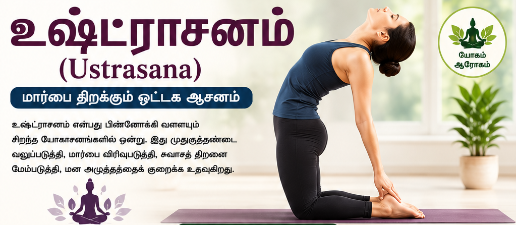 உஷ்ட்ராசனம் (Ustrasana) – மார்பை விரிவுபடுத்தி முதுகுத்தண்டை வலுப்படுத்தும் ஒட்டக ஆசனம்